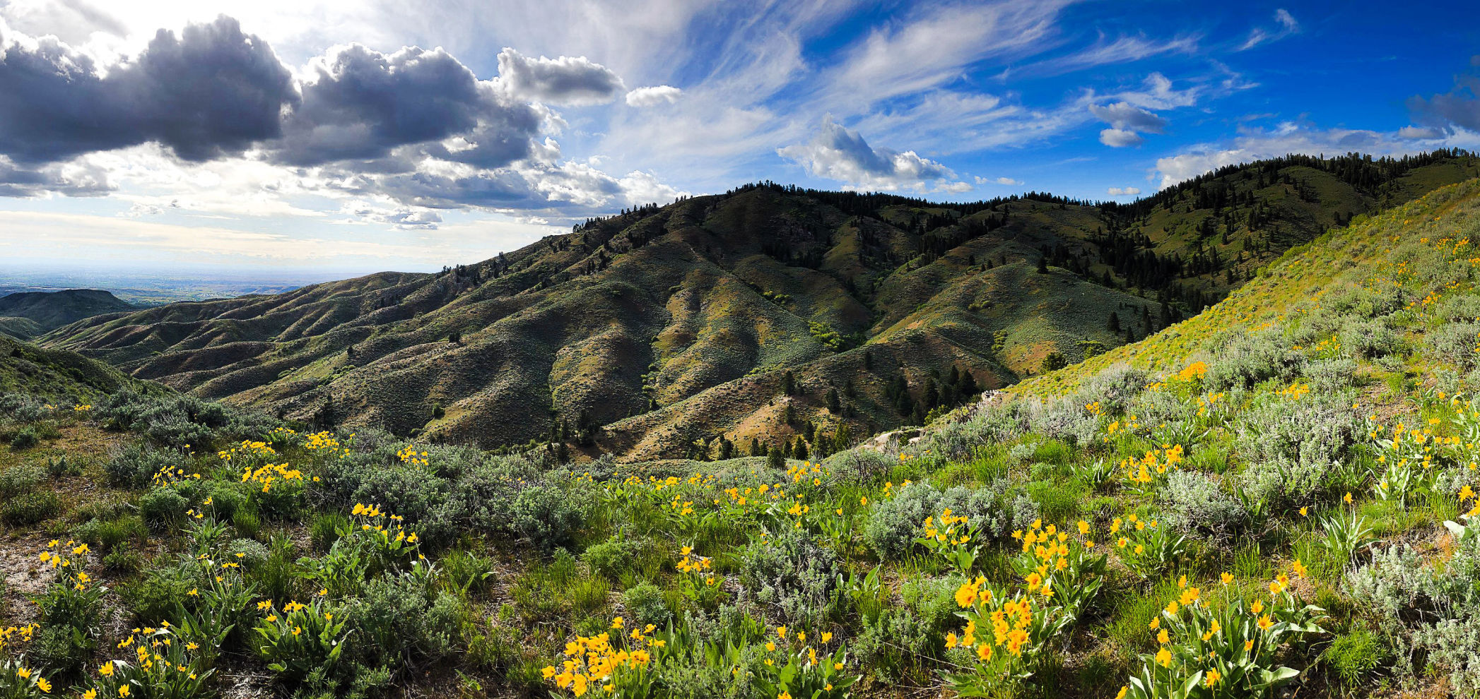 foothills.jpg